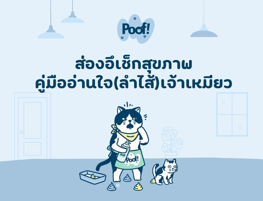 Poof! A Guide to Understanding Your Cat's Poop Health