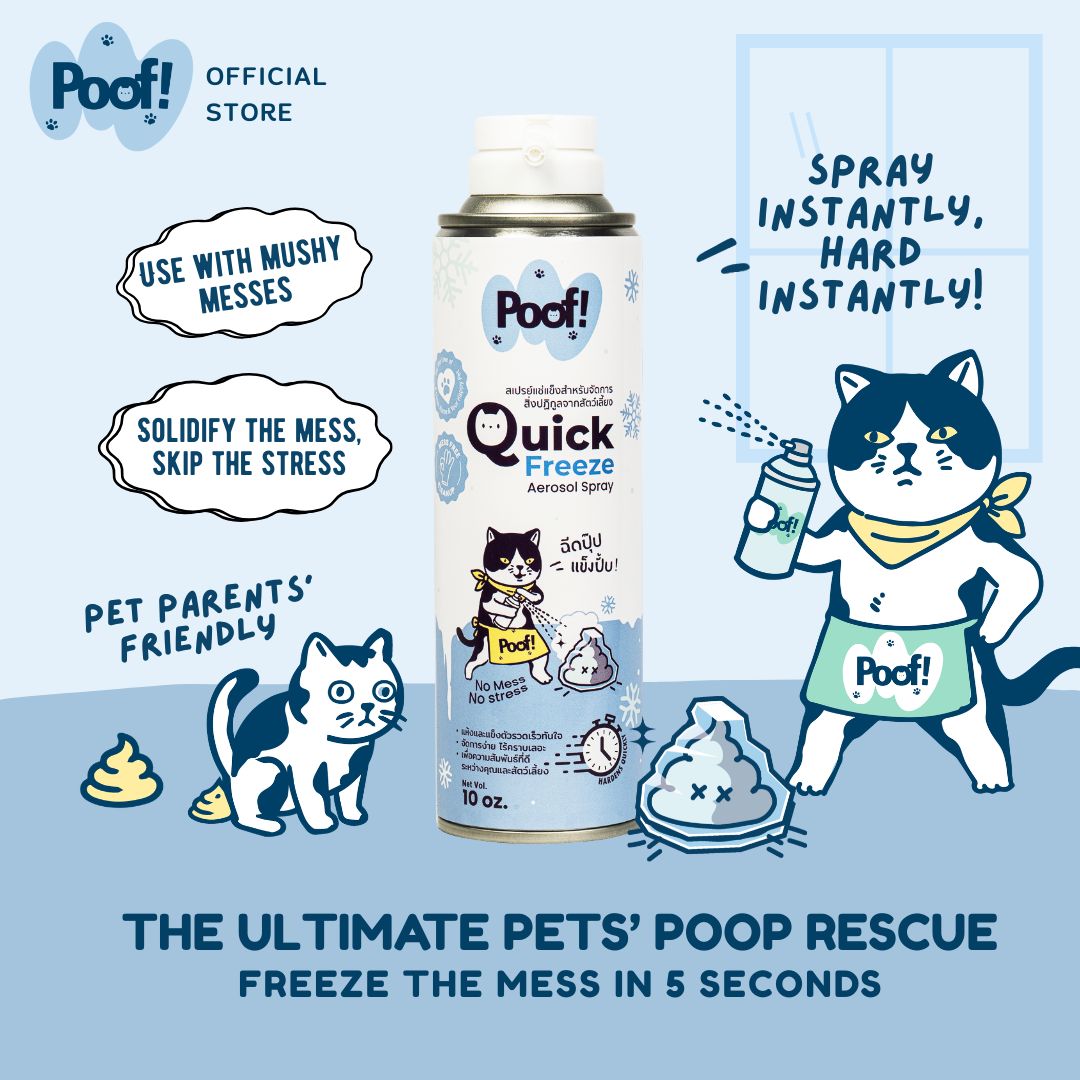 Poof! Quick Freeze Aerosol Spray