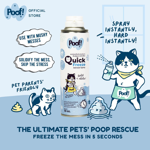 Poof! Quick Freeze Aerosol Spray