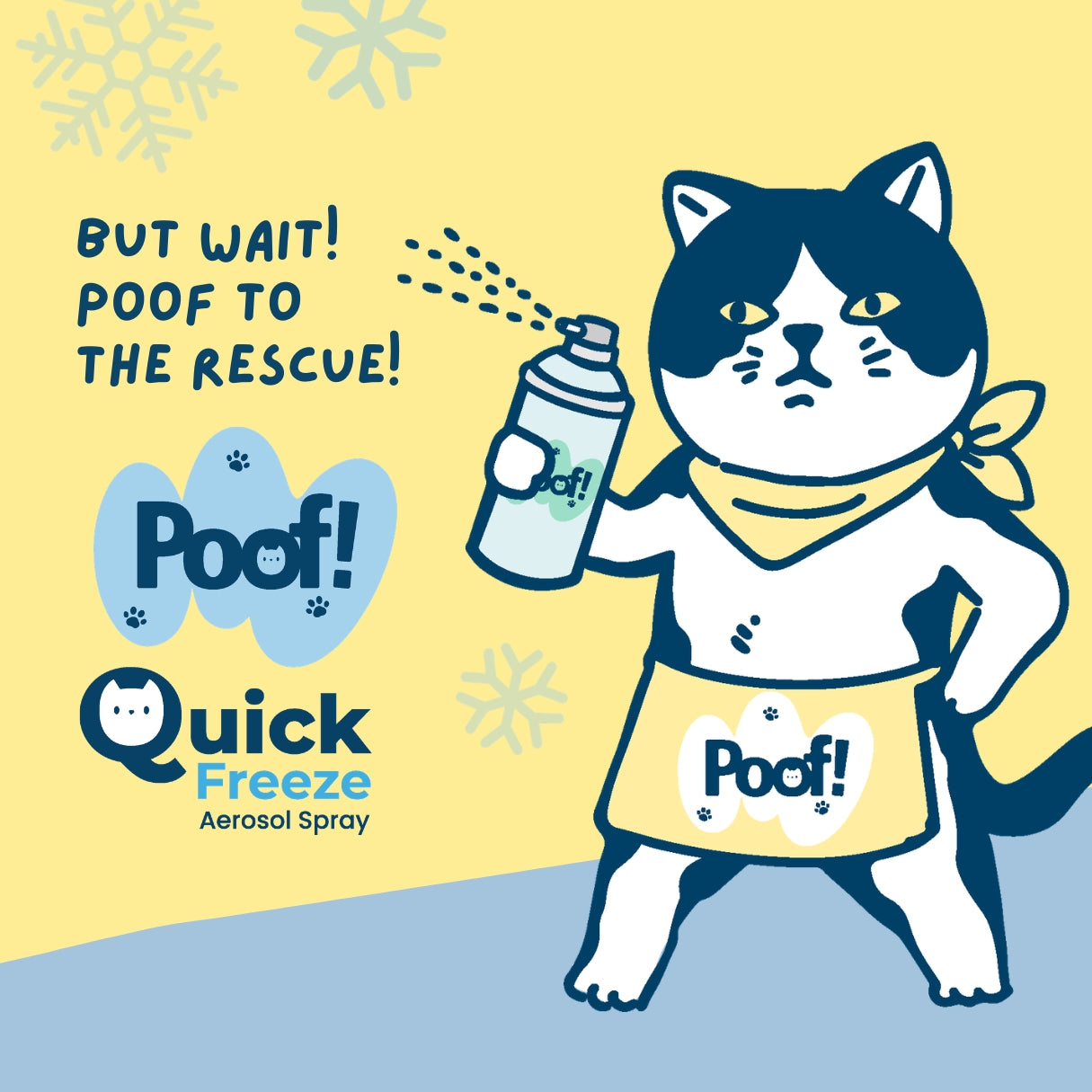 Poof! Quick Freeze Aerosol Spray pack 2