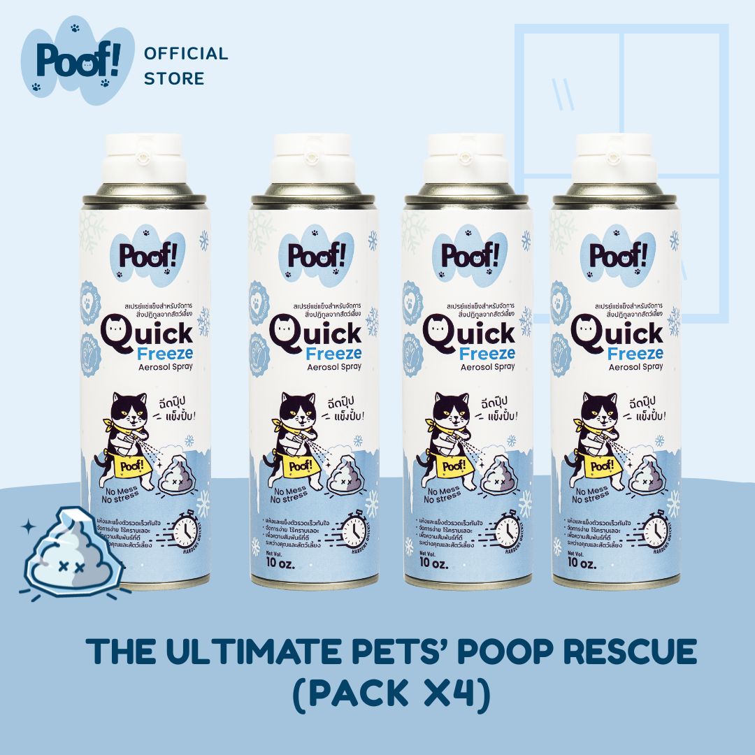Poof! Quick Freeze Aerosol Spray pack 4